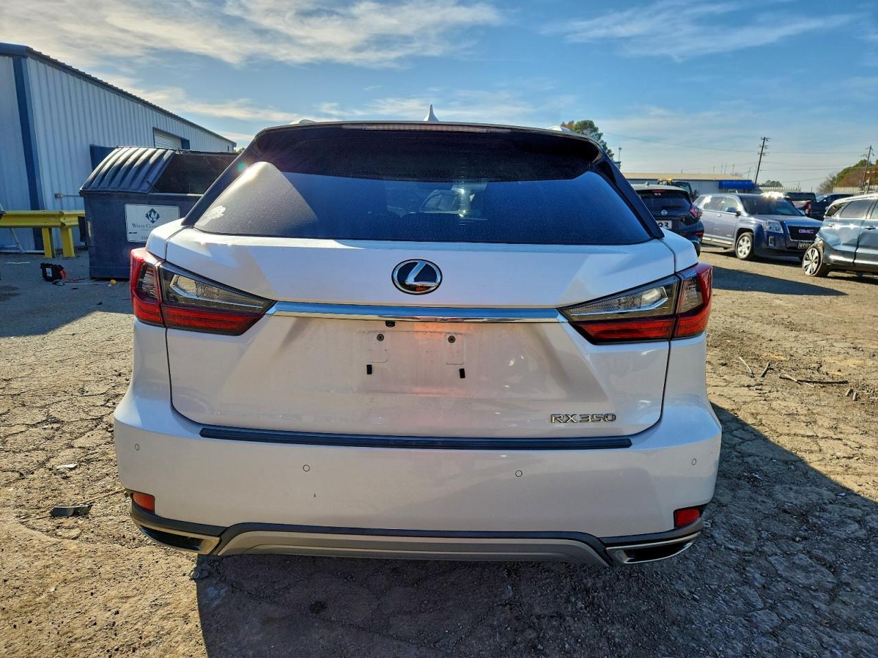 2020 LEXUS RX 350 photo 6