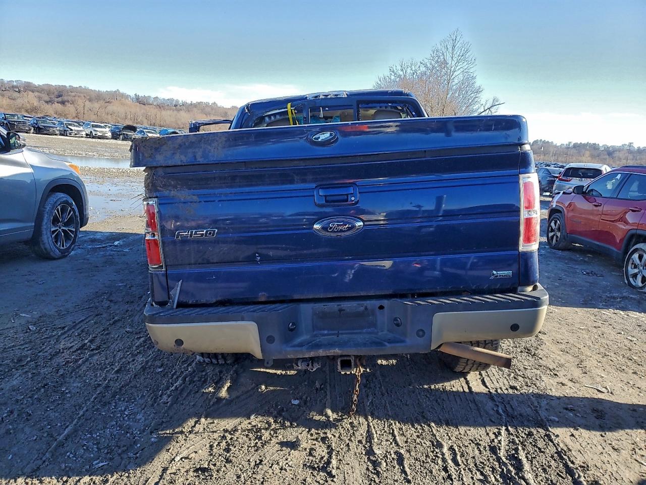 2010 FORD F150 photo 6