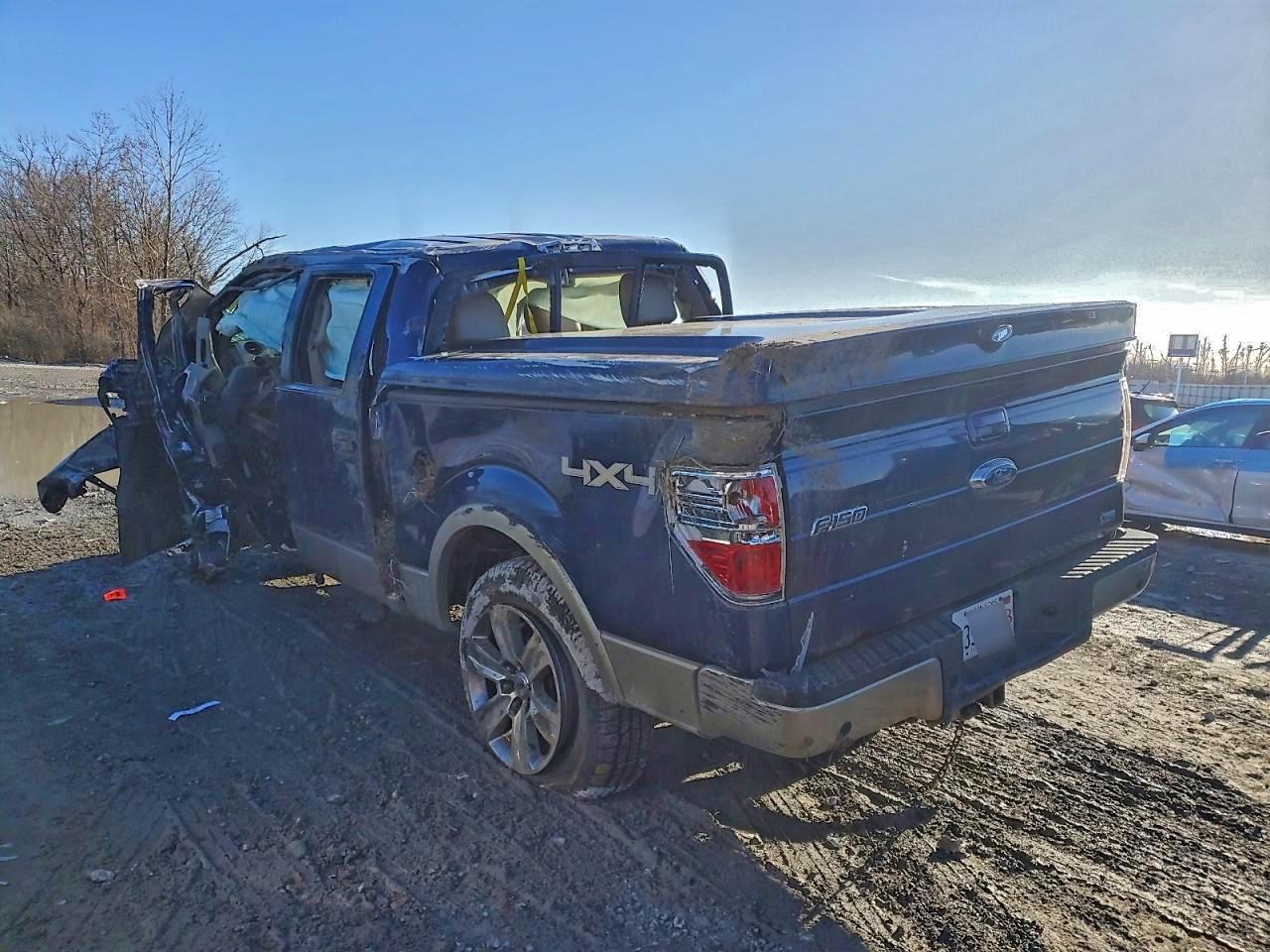 2010 FORD F150 photo 2