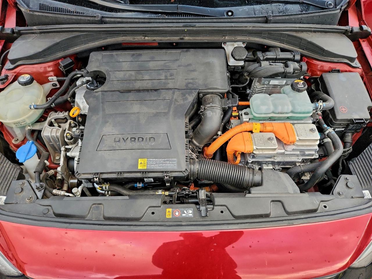 2019 HYUNDAI IONIQ BLUE photo 11