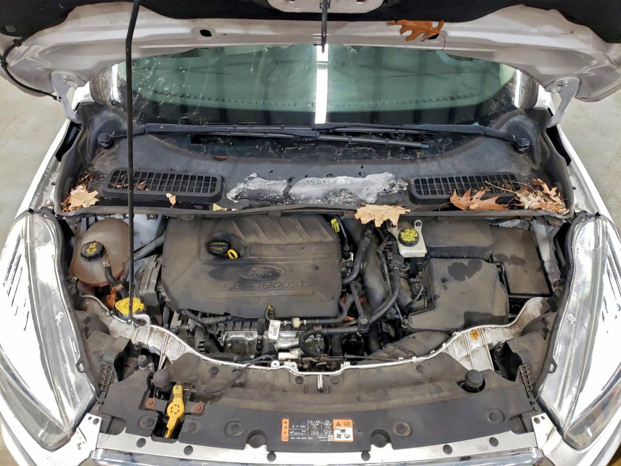 2017 FORD ESCAPE SE photo 12