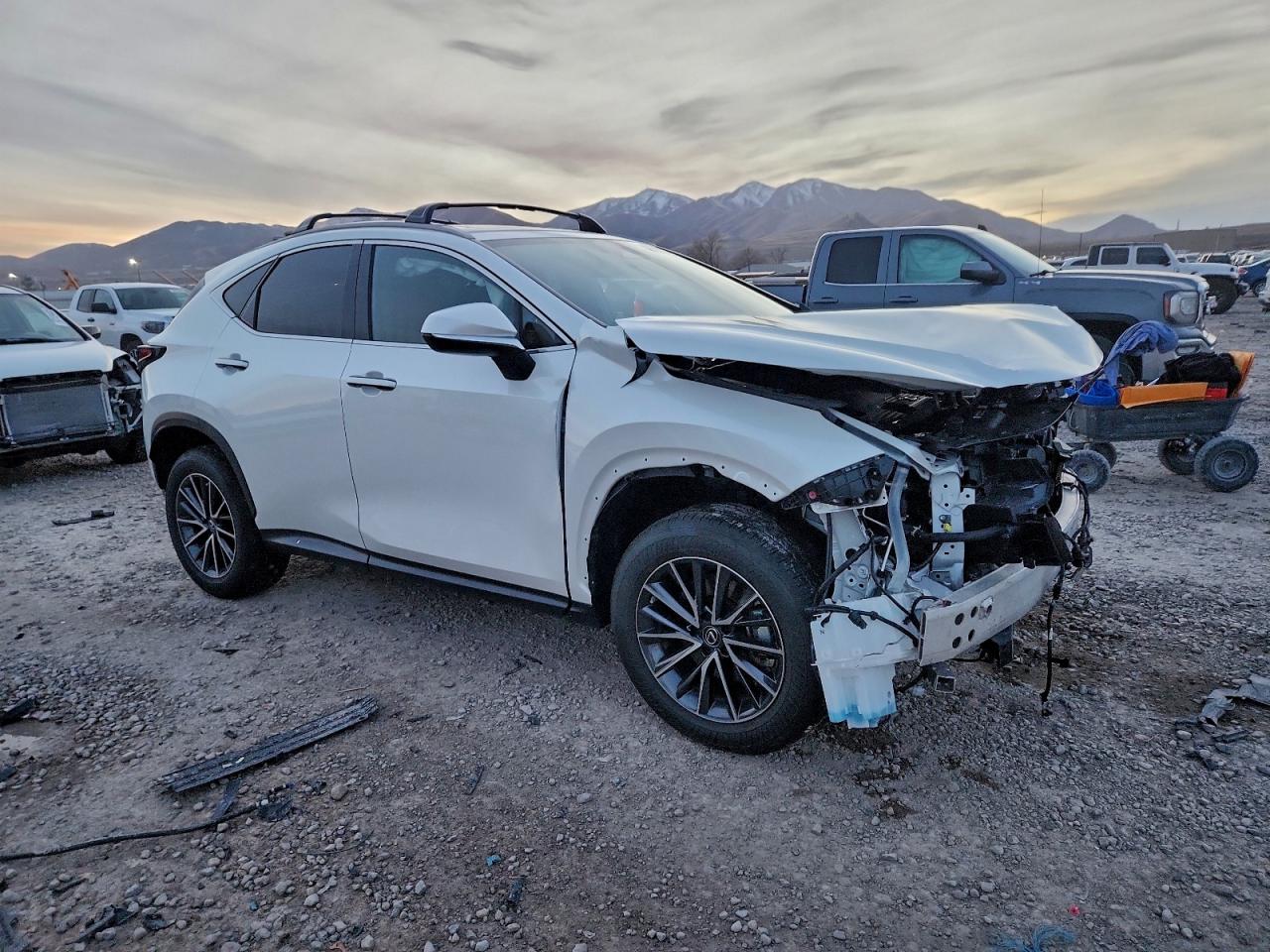 2023 LEXUS NX 350H photo 4