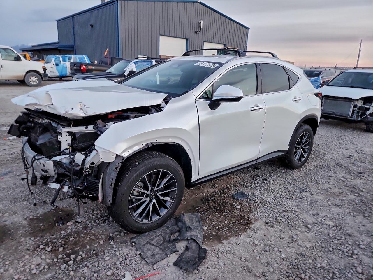 2023 LEXUS NX