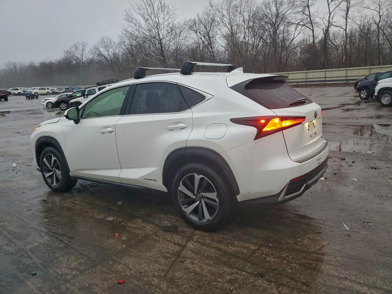2020 LEXUS NX 300H photo 2