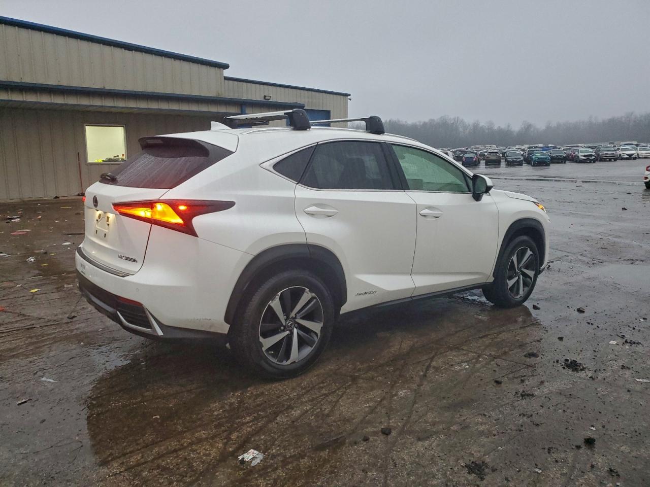 2020 LEXUS NX 300H photo 3
