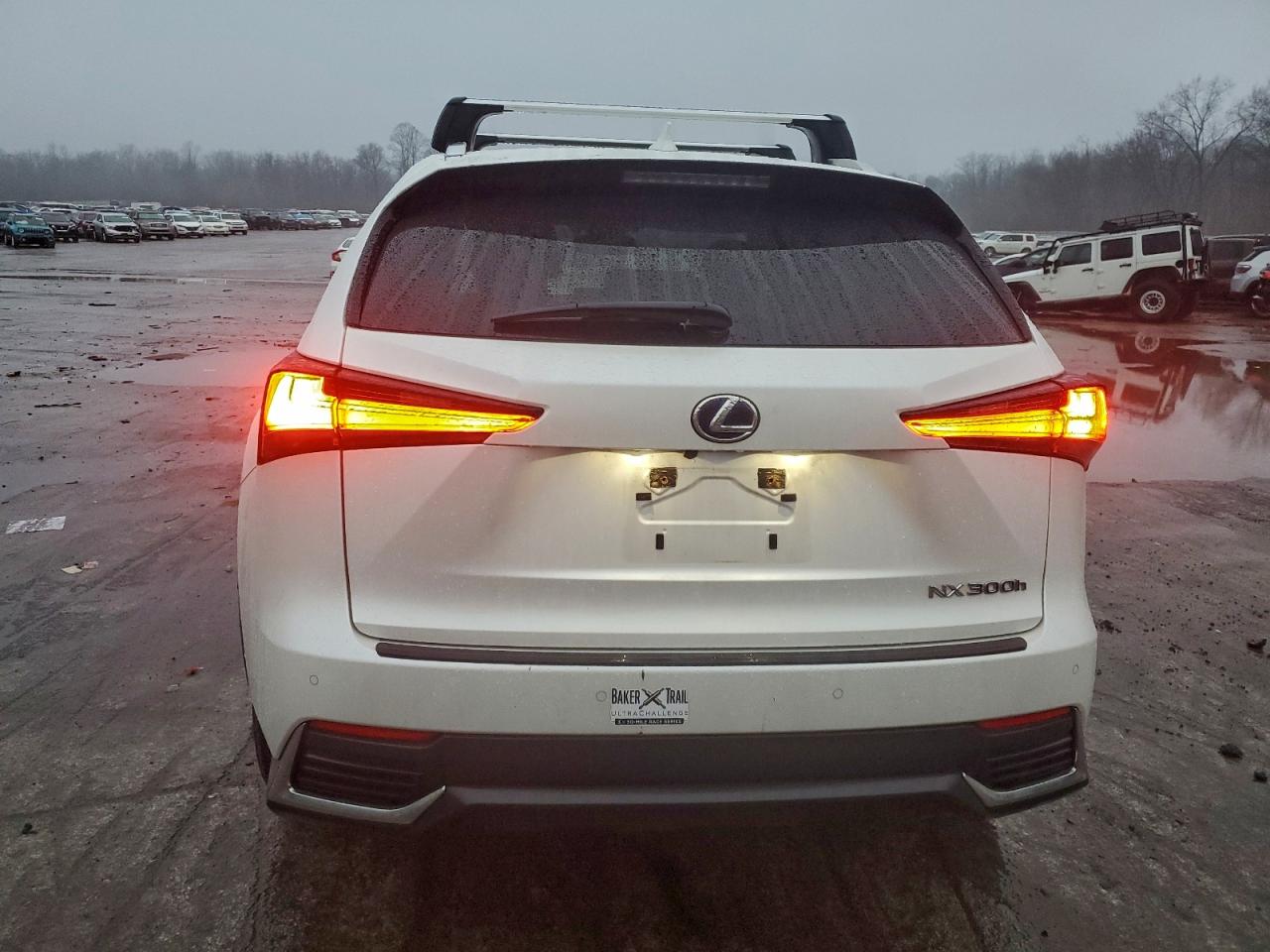 2020 LEXUS NX 300H photo 6
