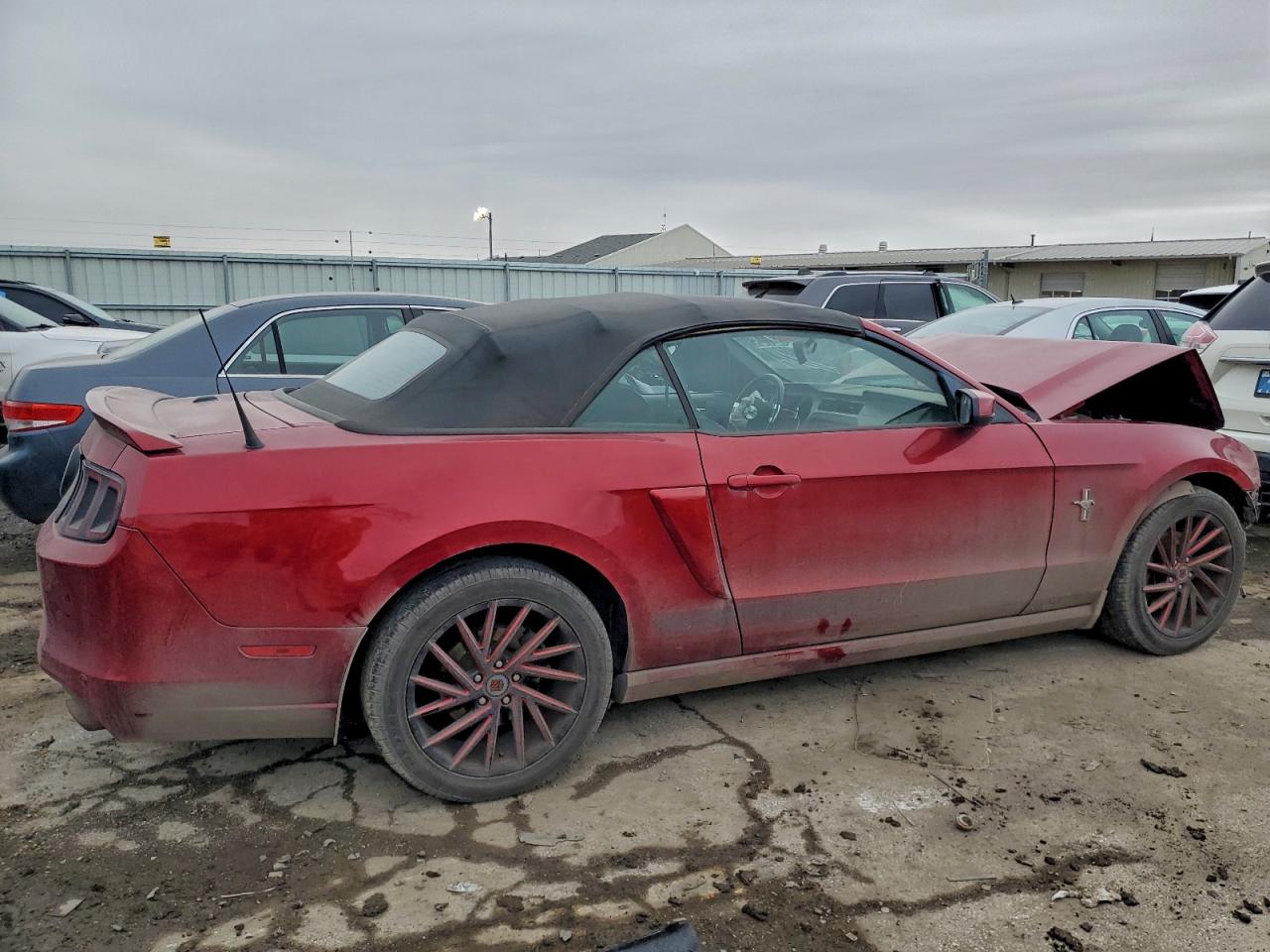 2014 FORD MUSTANG photo 3