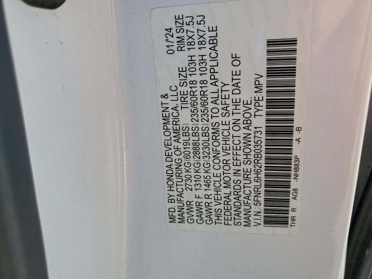 2024 HONDA ODYSSEY EXL photo 13