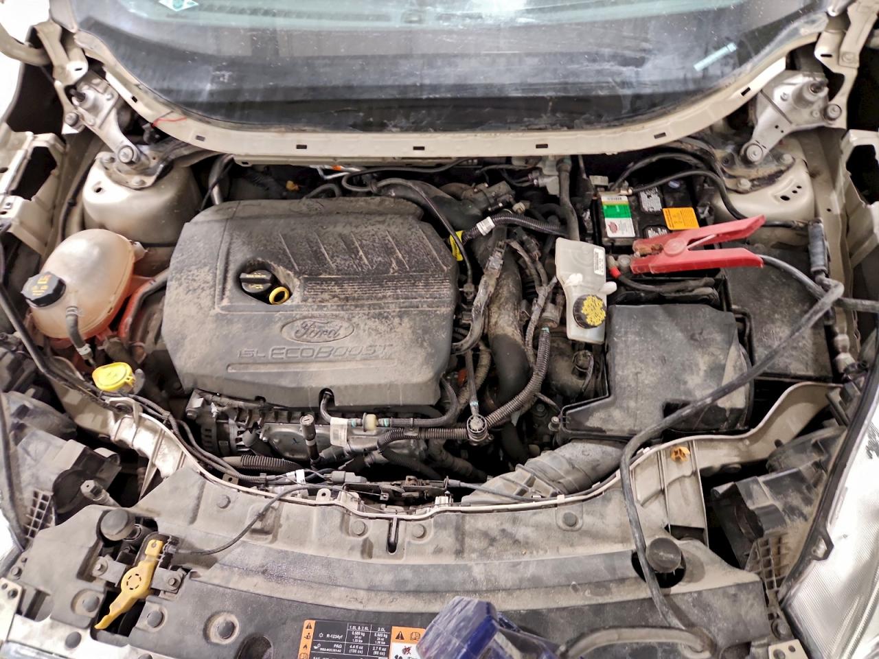 2017 FORD ESCAPE SE photo 12