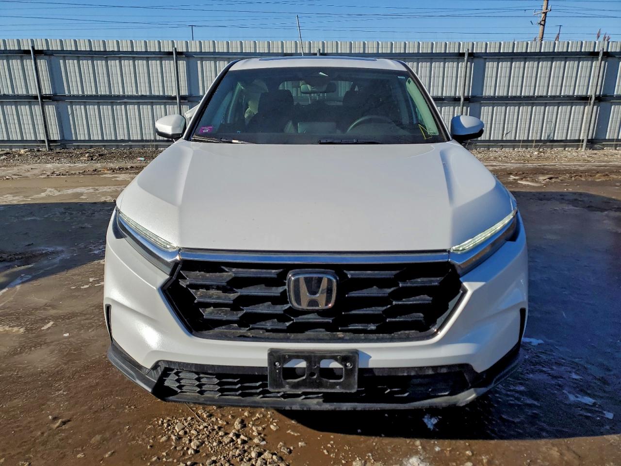 2024 HONDA CR-V EX photo 5