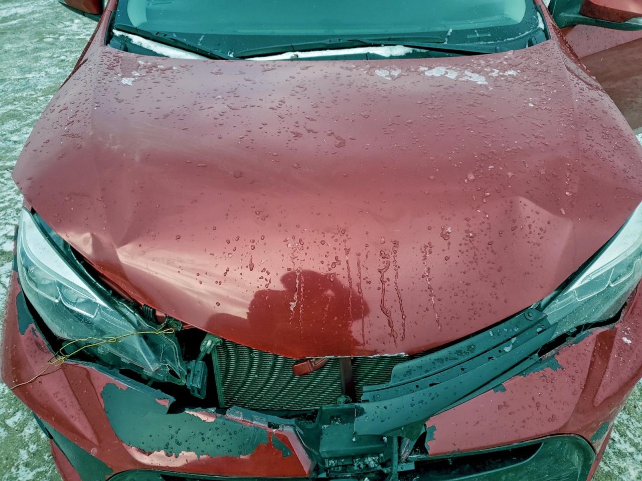 2018 TOYOTA COROLLA L photo 11