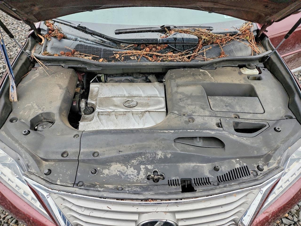 2015 LEXUS RX 350 BASE photo 12