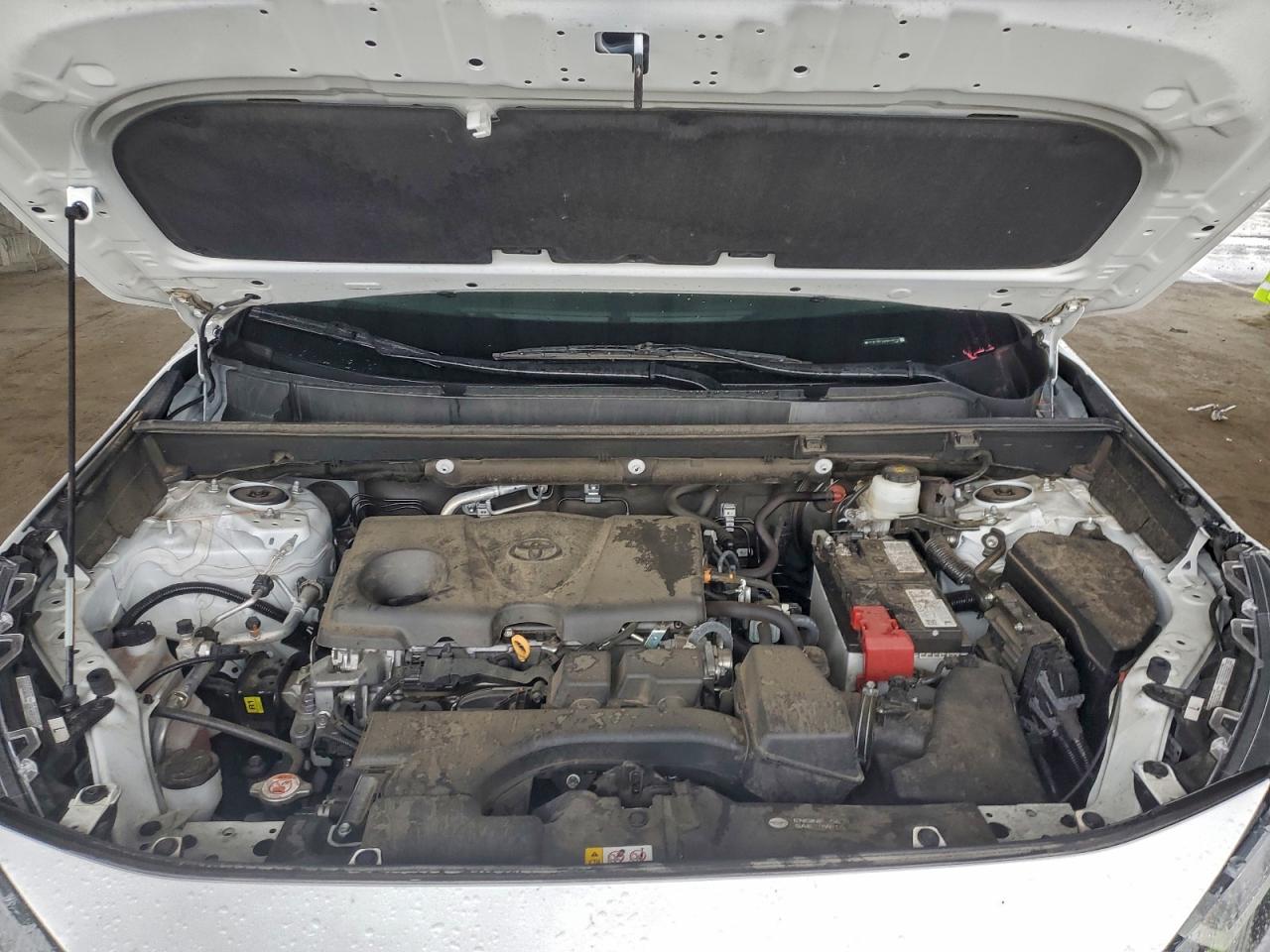 2024 TOYOTA RAV4 LE photo 11