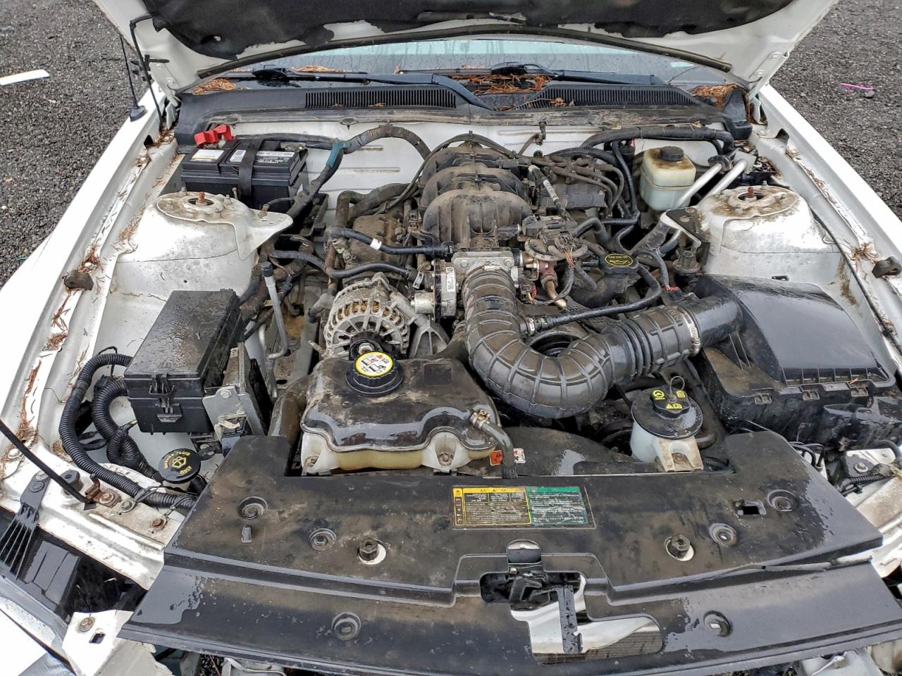 2006 FORD MUSTANG photo 11