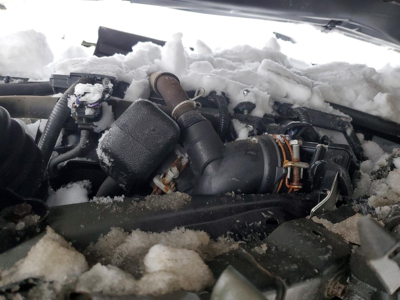 2019 TOYOTA PRIUS photo 11