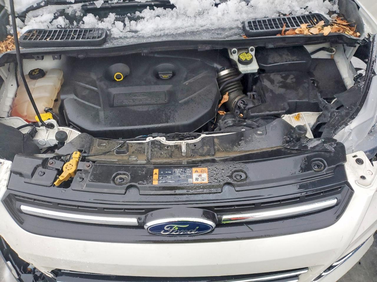 2016 FORD ESCAPE SE photo 21