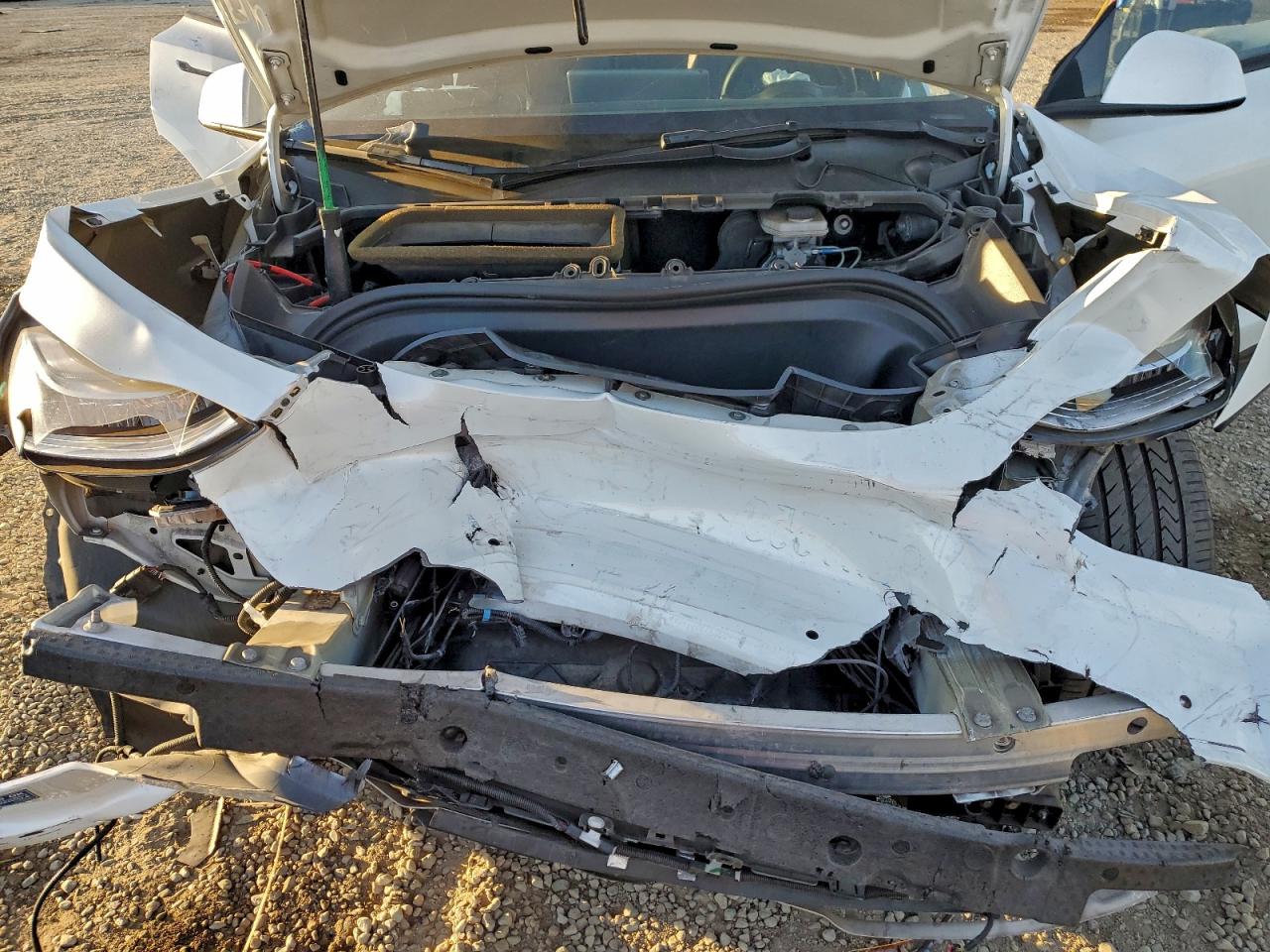 2021 TESLA MODEL Y photo 21