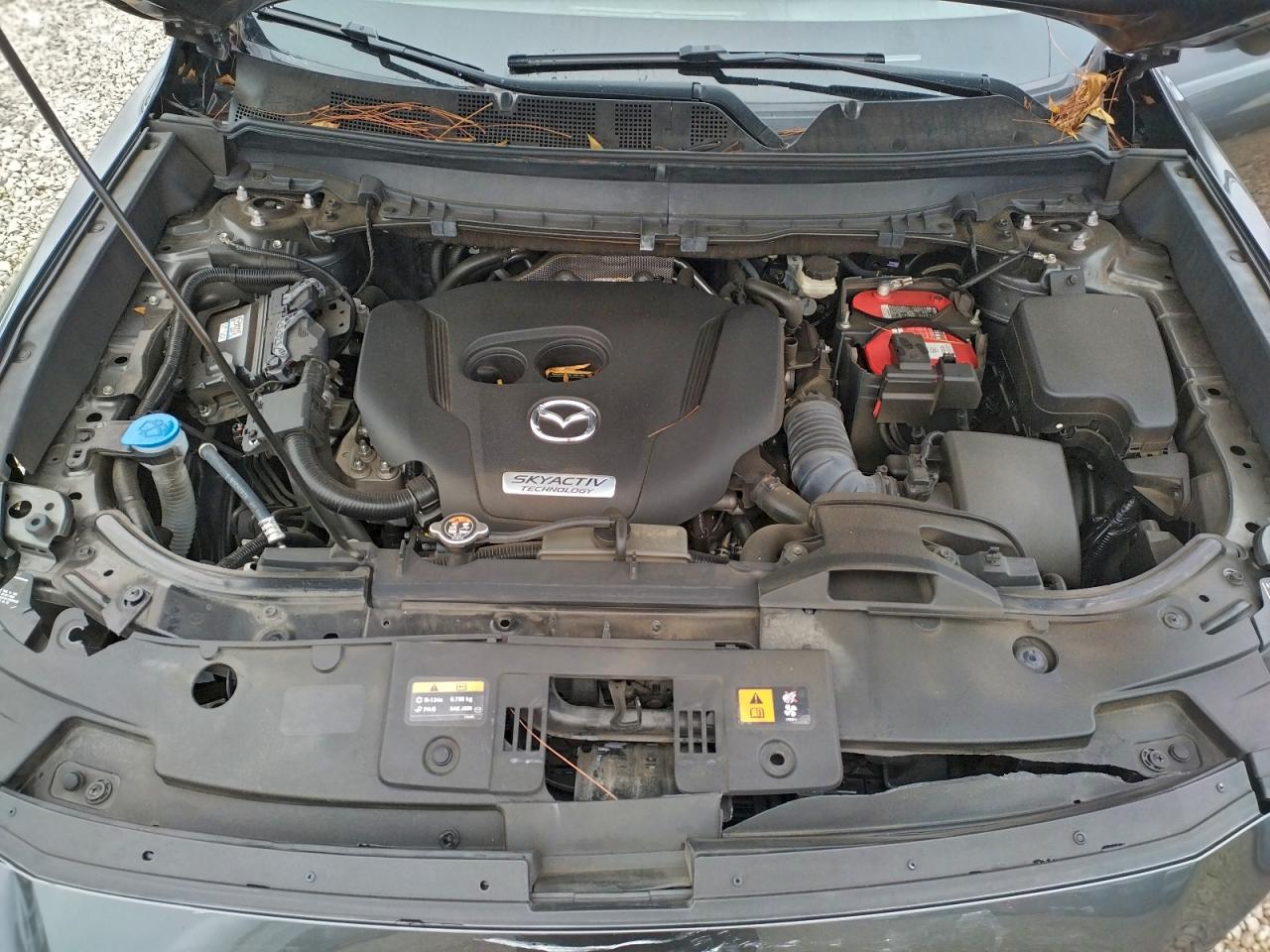 2016 MAZDA CX-9 SIGNATURE photo 12