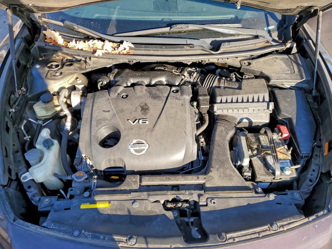 2010 NISSAN MAXIMA S photo 11