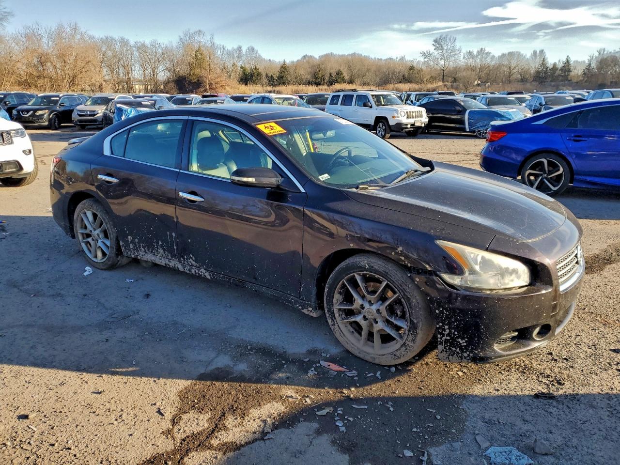 2010 NISSAN MAXIMA S photo 4