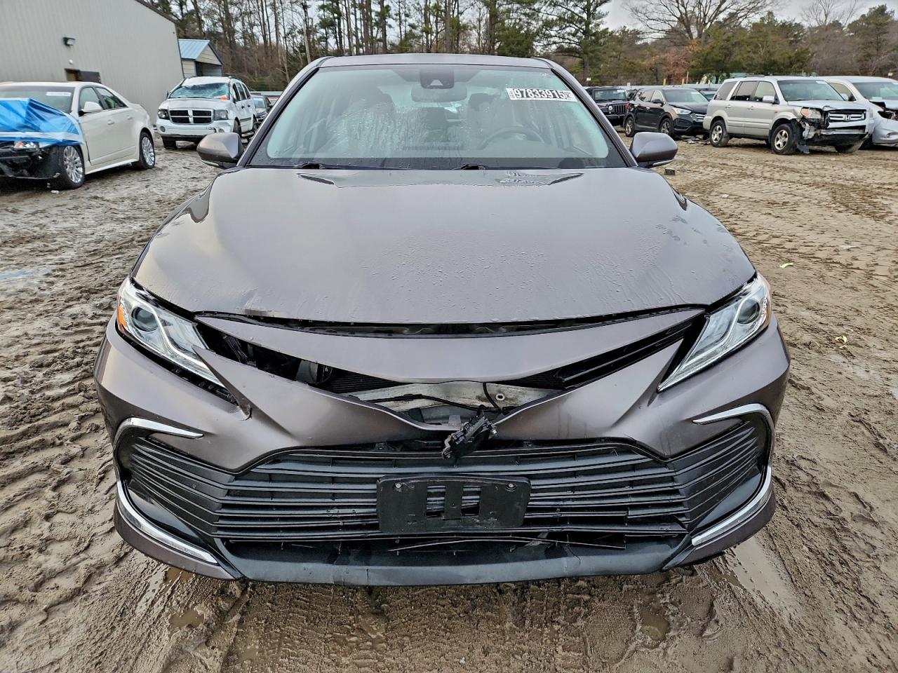 2023 TOYOTA CAMRY XLE photo 5