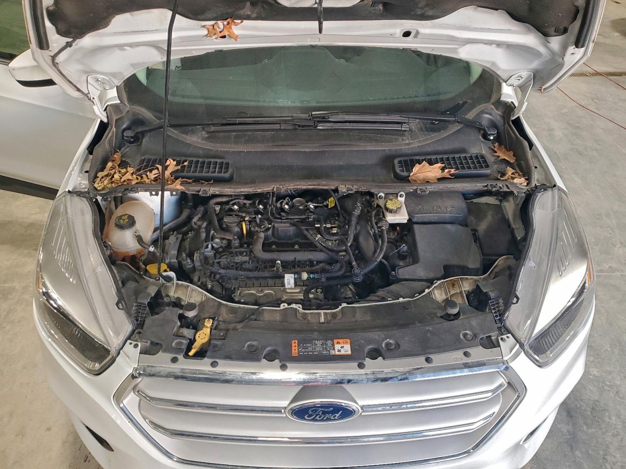 2019 FORD ESCAPE SE photo 12