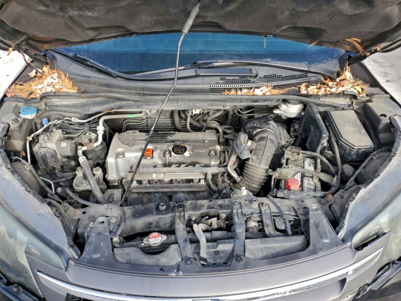2014 HONDA CR-V LX photo 12