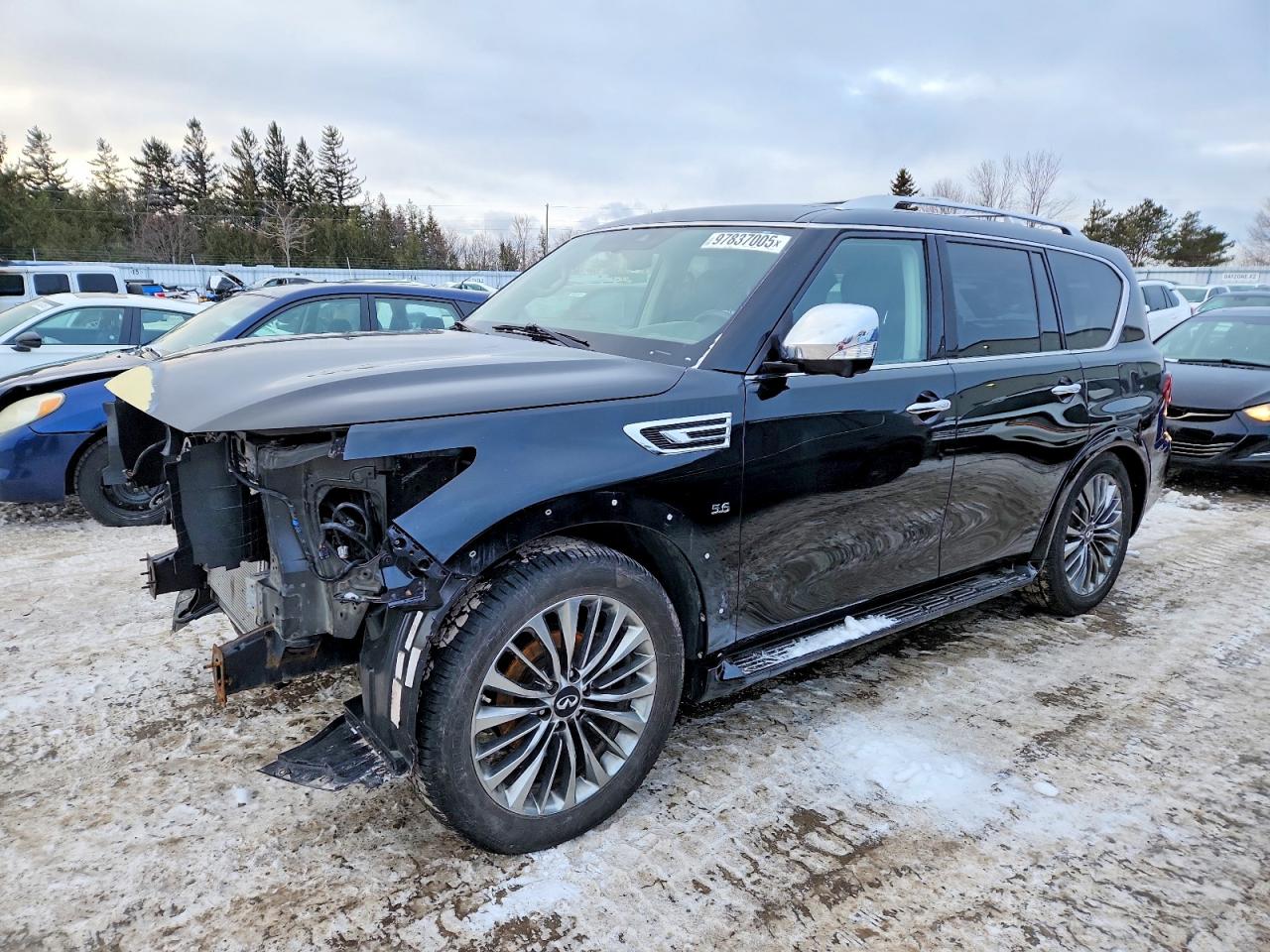 2019 INFINITI QX80