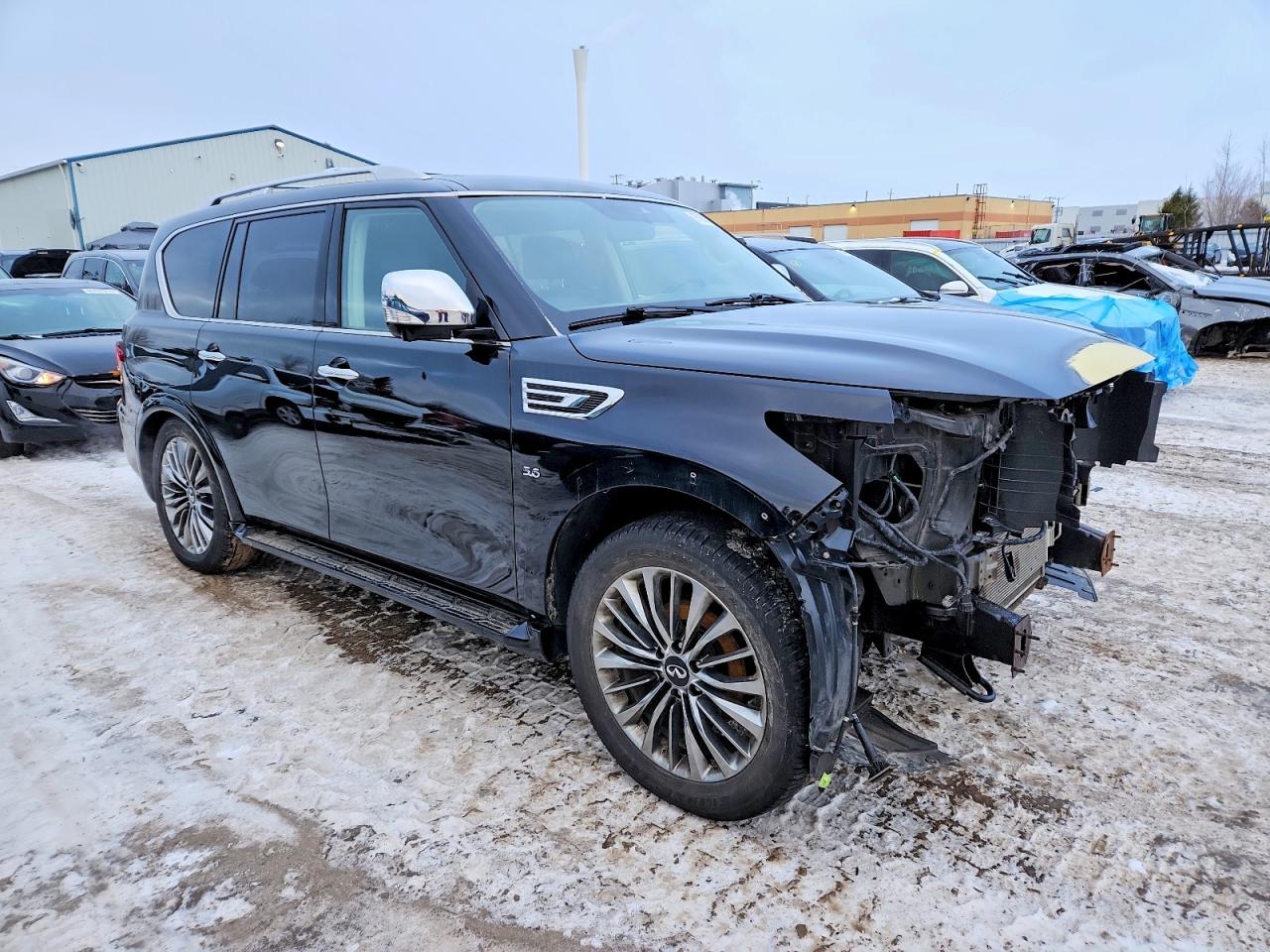 2019 INFINITI QX80 LUXE photo 4