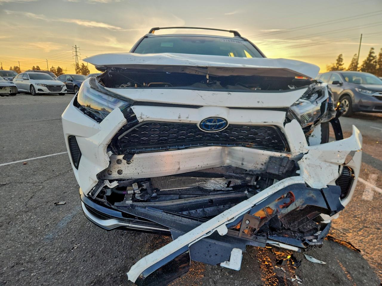 2024 TOYOTA RAV4 PRIME SE photo 5