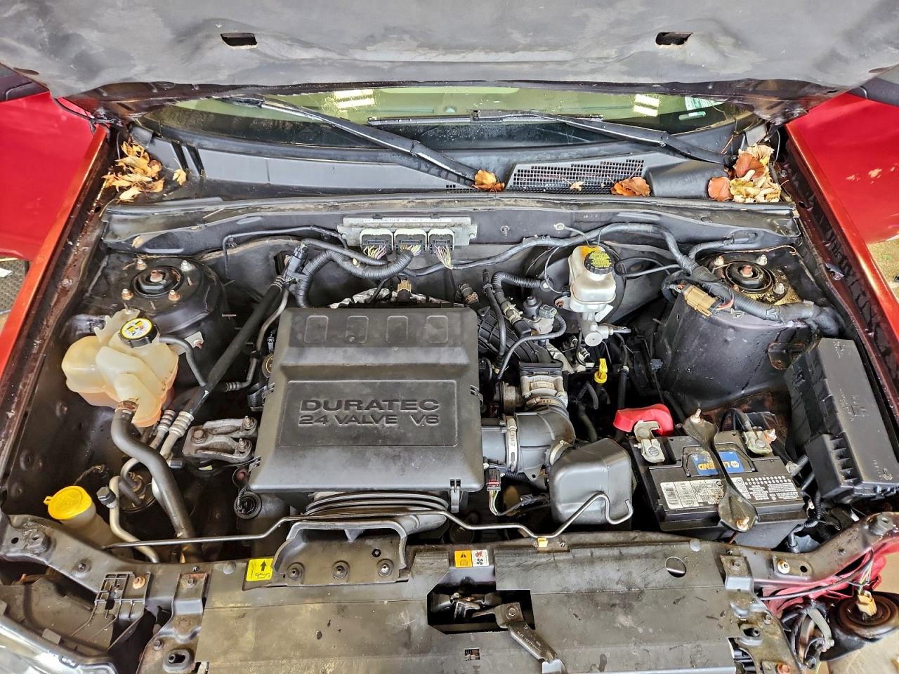 2012 FORD ESCAPE XLT photo 12