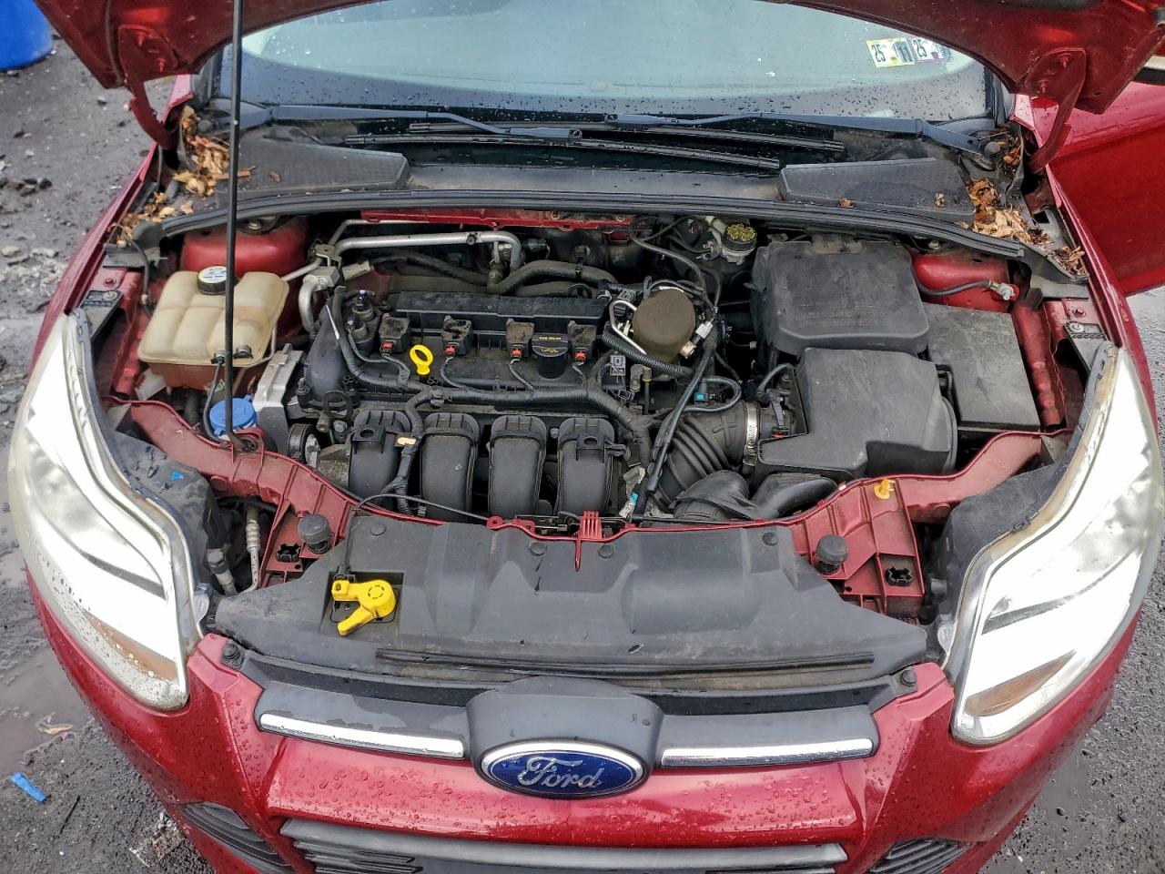 2013 FORD FOCUS SE photo 11