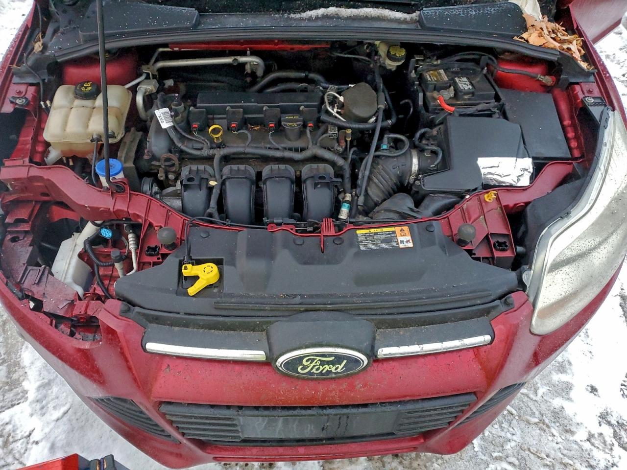 2014 FORD FOCUS SE photo 11