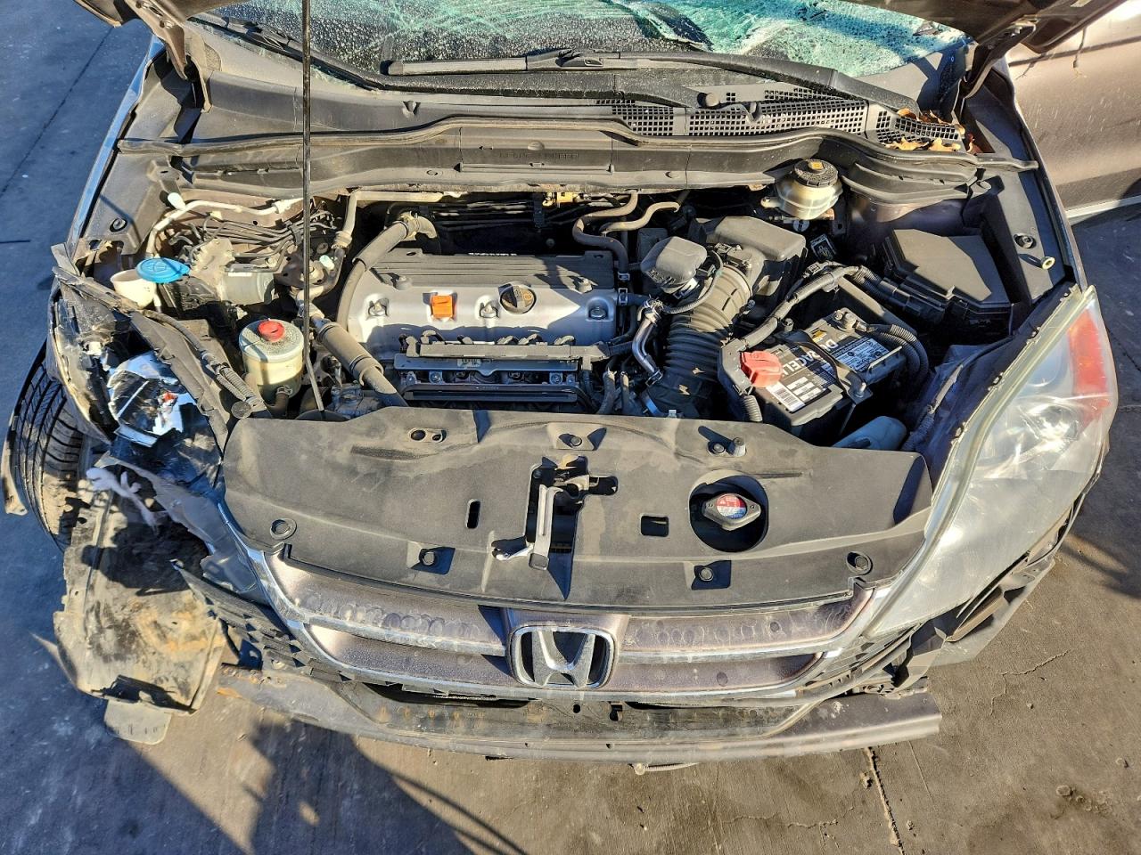 2010 HONDA CR-V EX photo 12