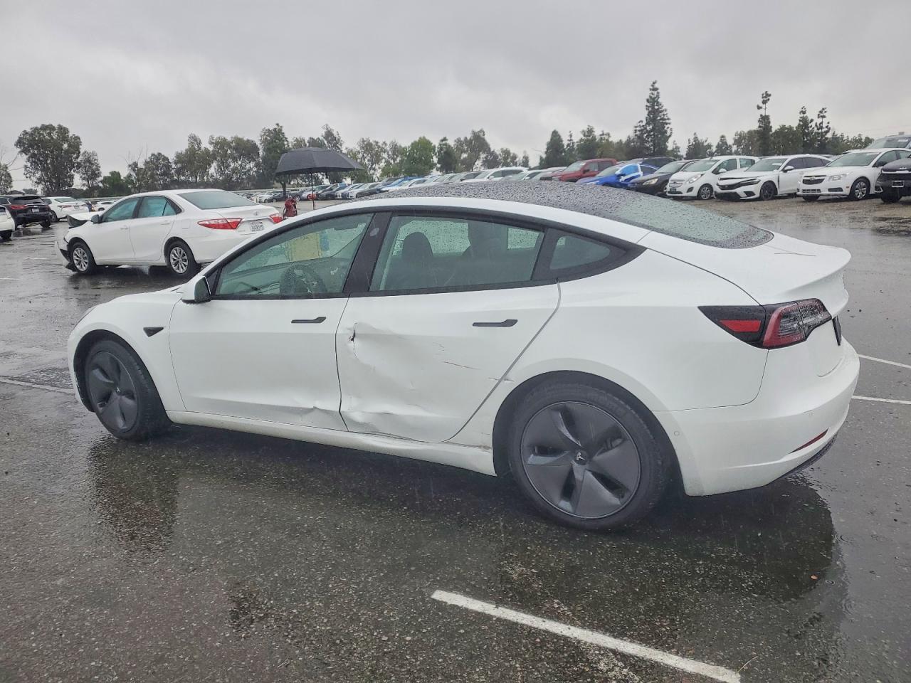 2021 TESLA MODEL 3 photo 2