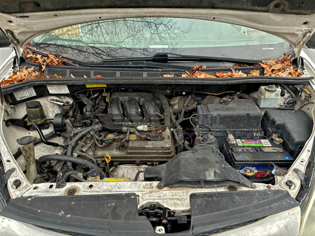 2007 TOYOTA SIENNA LE photo 11