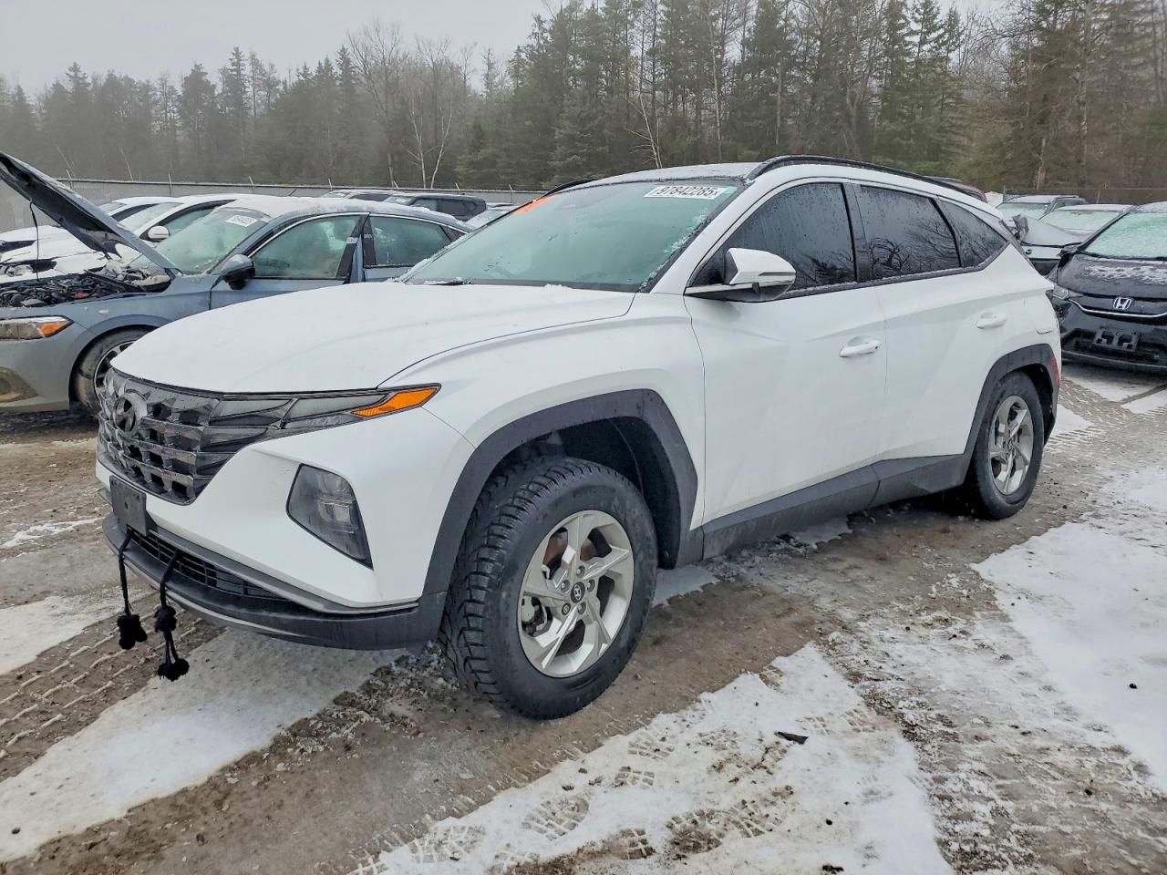 2024 HYUNDAI TUCSON