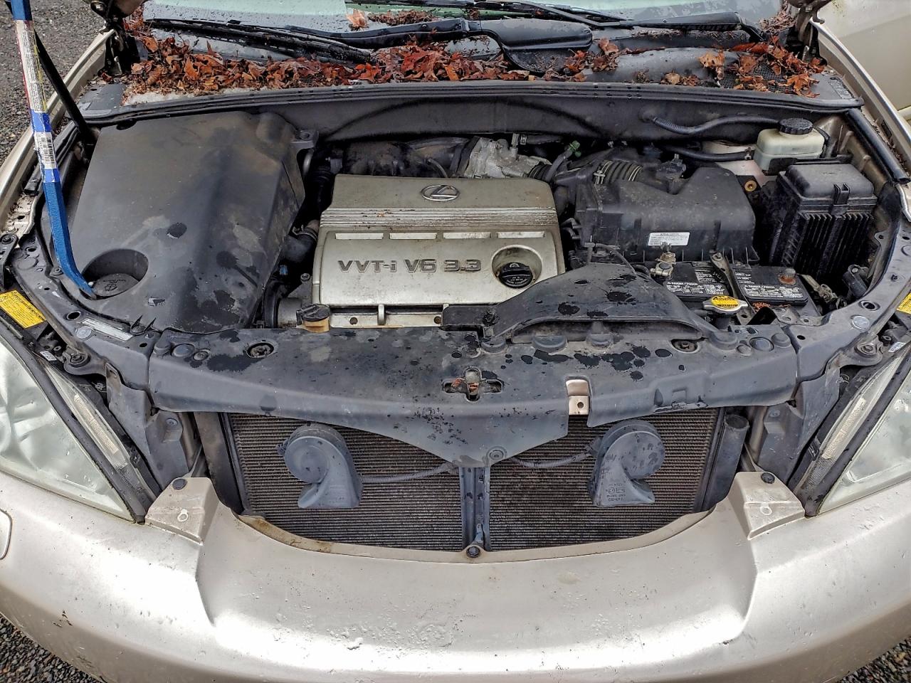 2006 LEXUS RX 330 photo 12