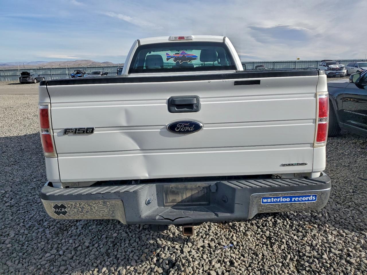 2013 FORD F150 photo 6