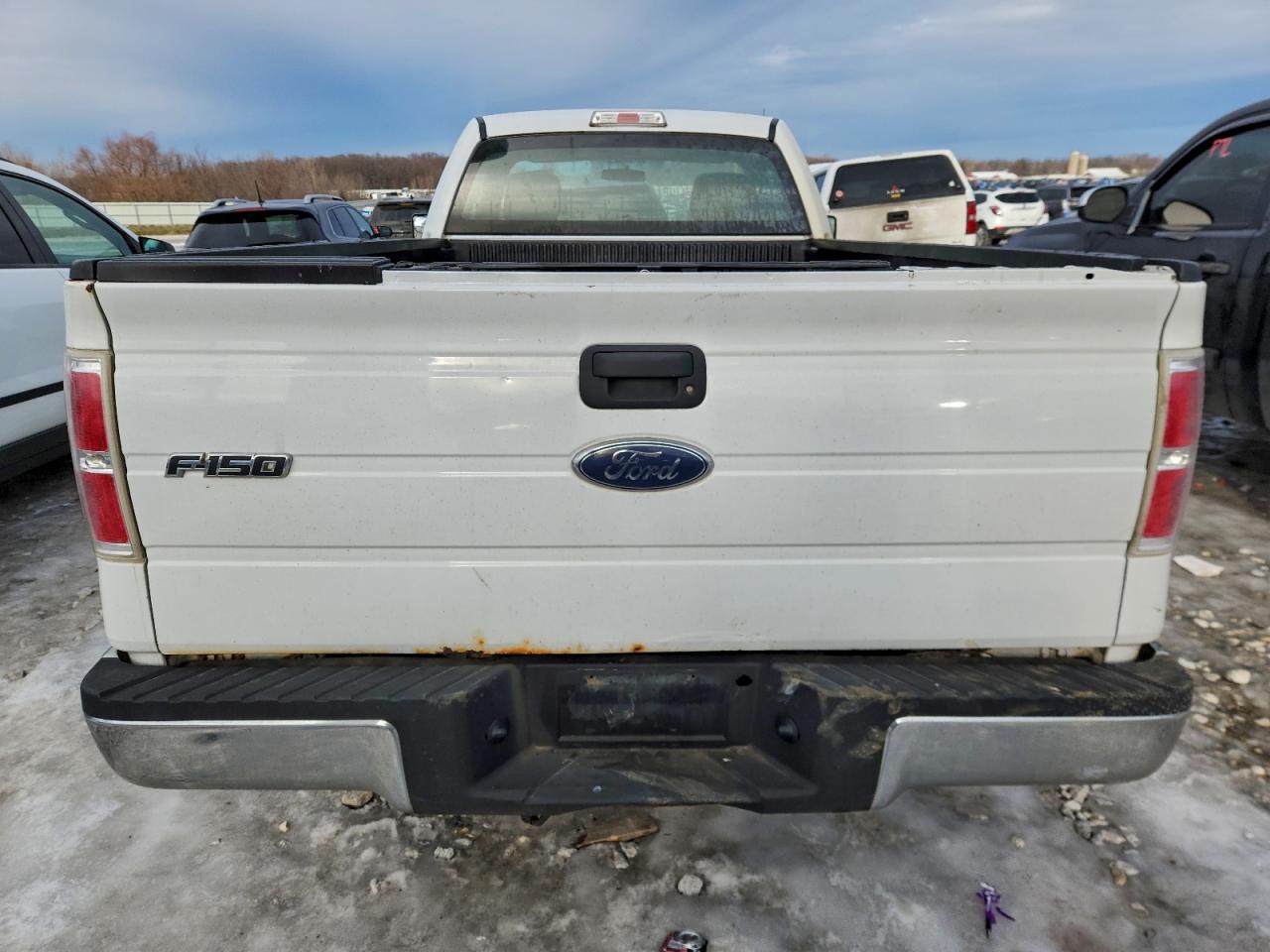 2010 FORD F150 photo 6