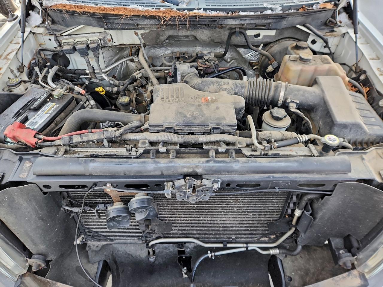 2010 FORD F150 photo 11