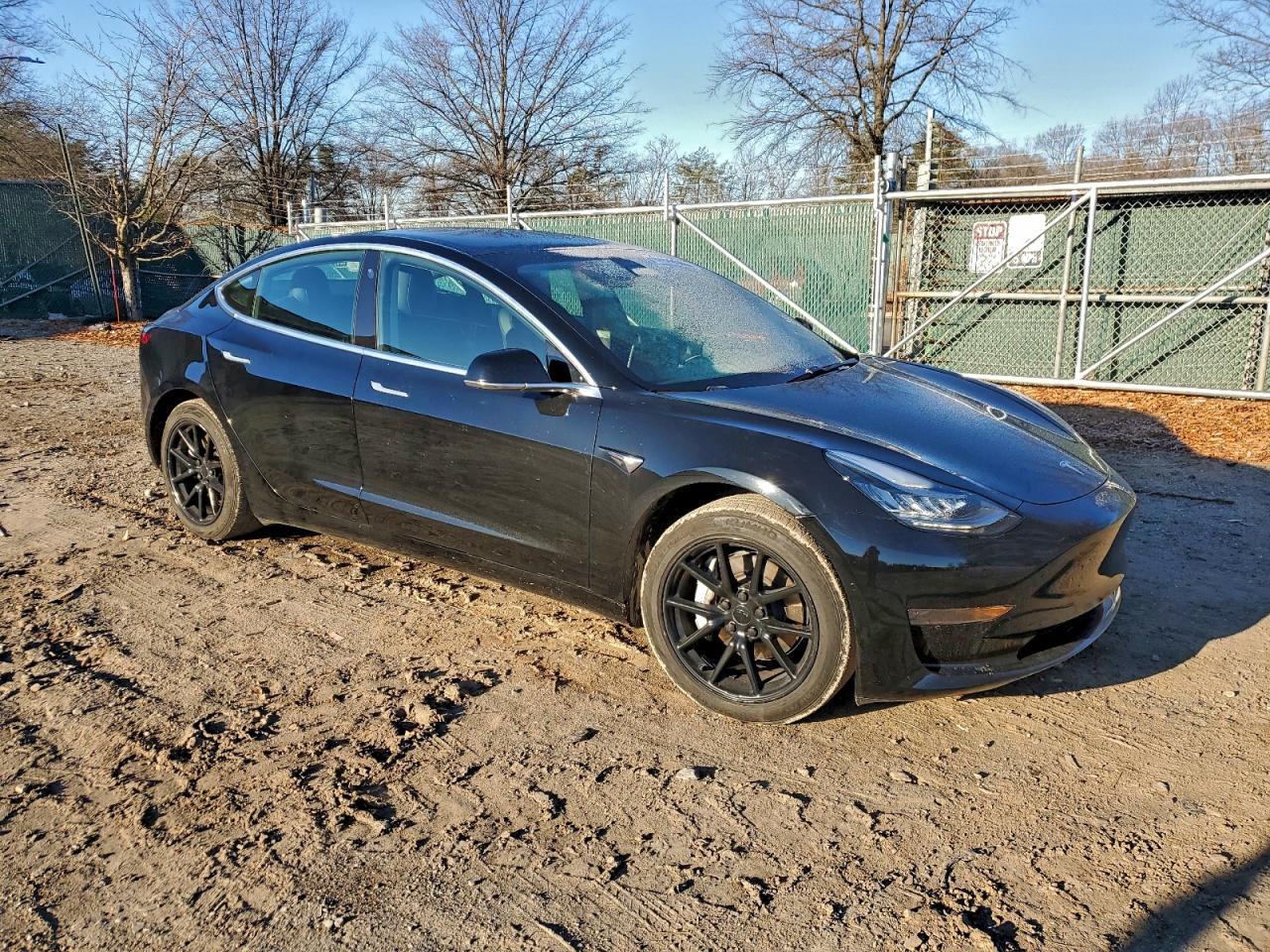 2020 TESLA MODEL 3 photo 7