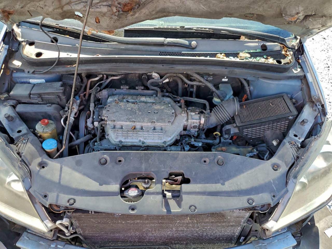2005 HONDA ODYSSEY EXL photo 12