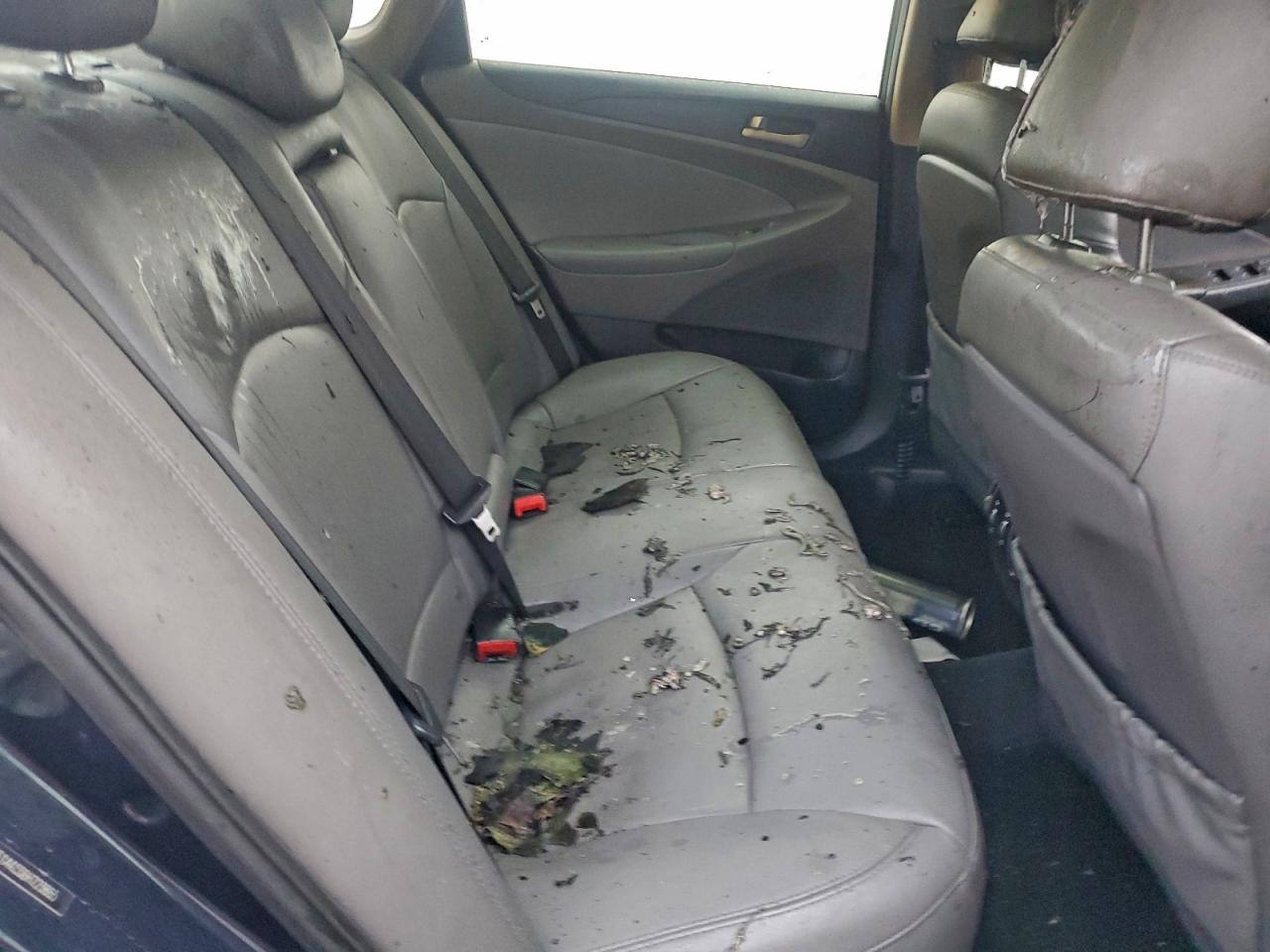 2013 HYUNDAI SONATA SE photo 10