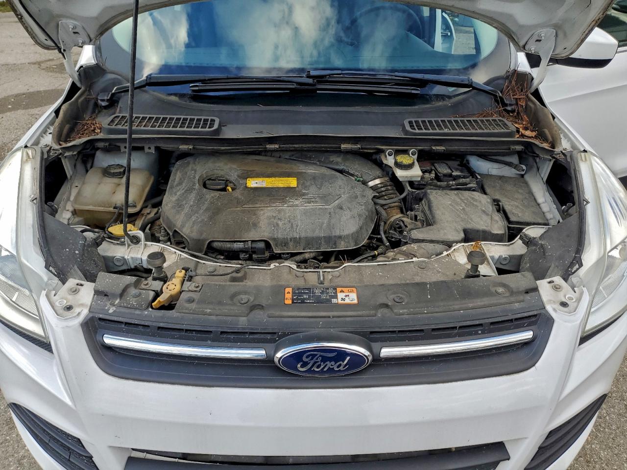 2016 FORD ESCAPE SE photo 12