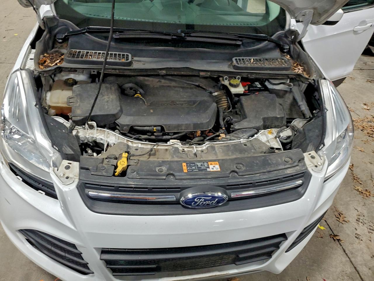 2014 FORD ESCAPE SE photo 12