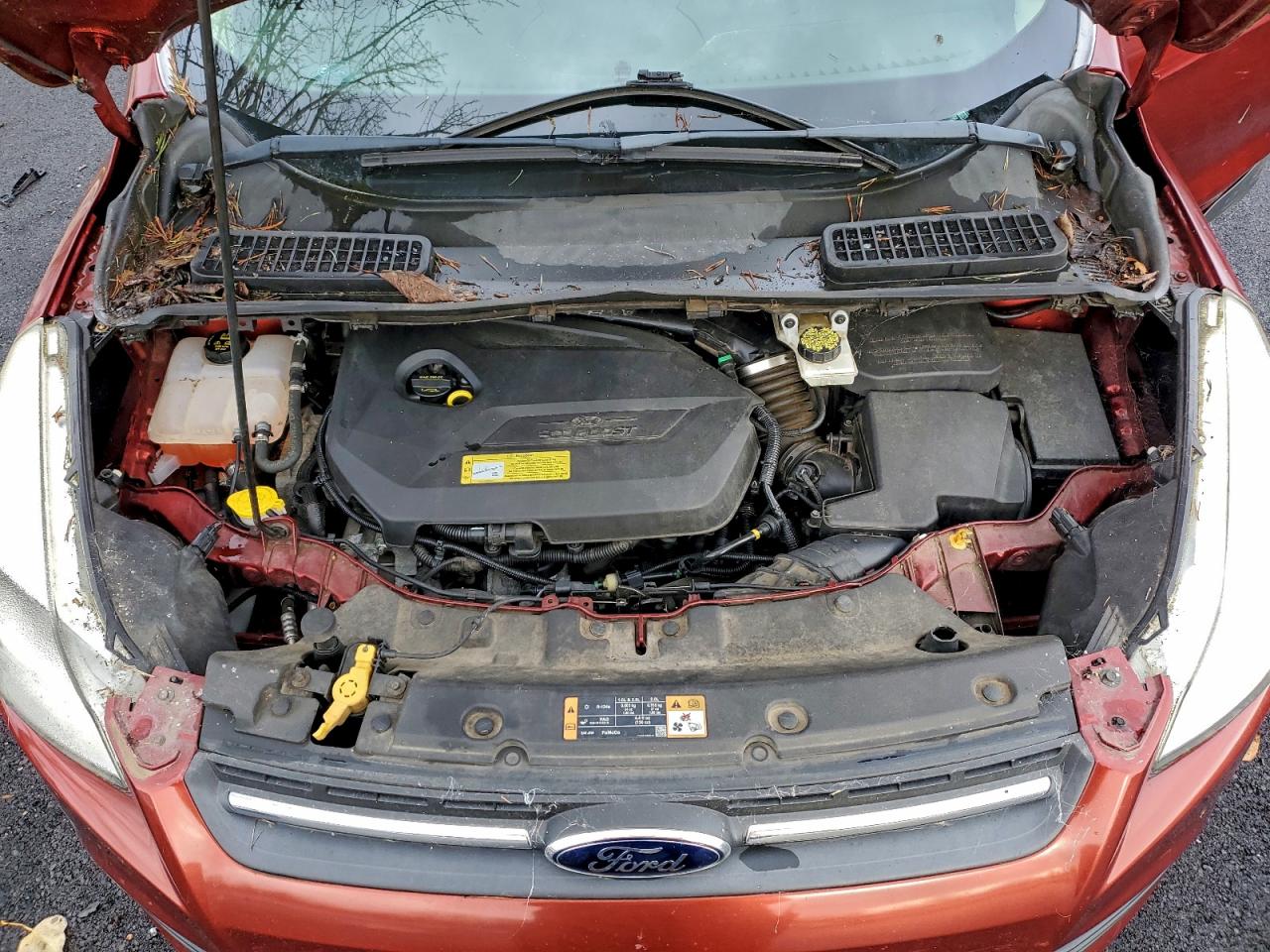 2014 FORD ESCAPE SE photo 12