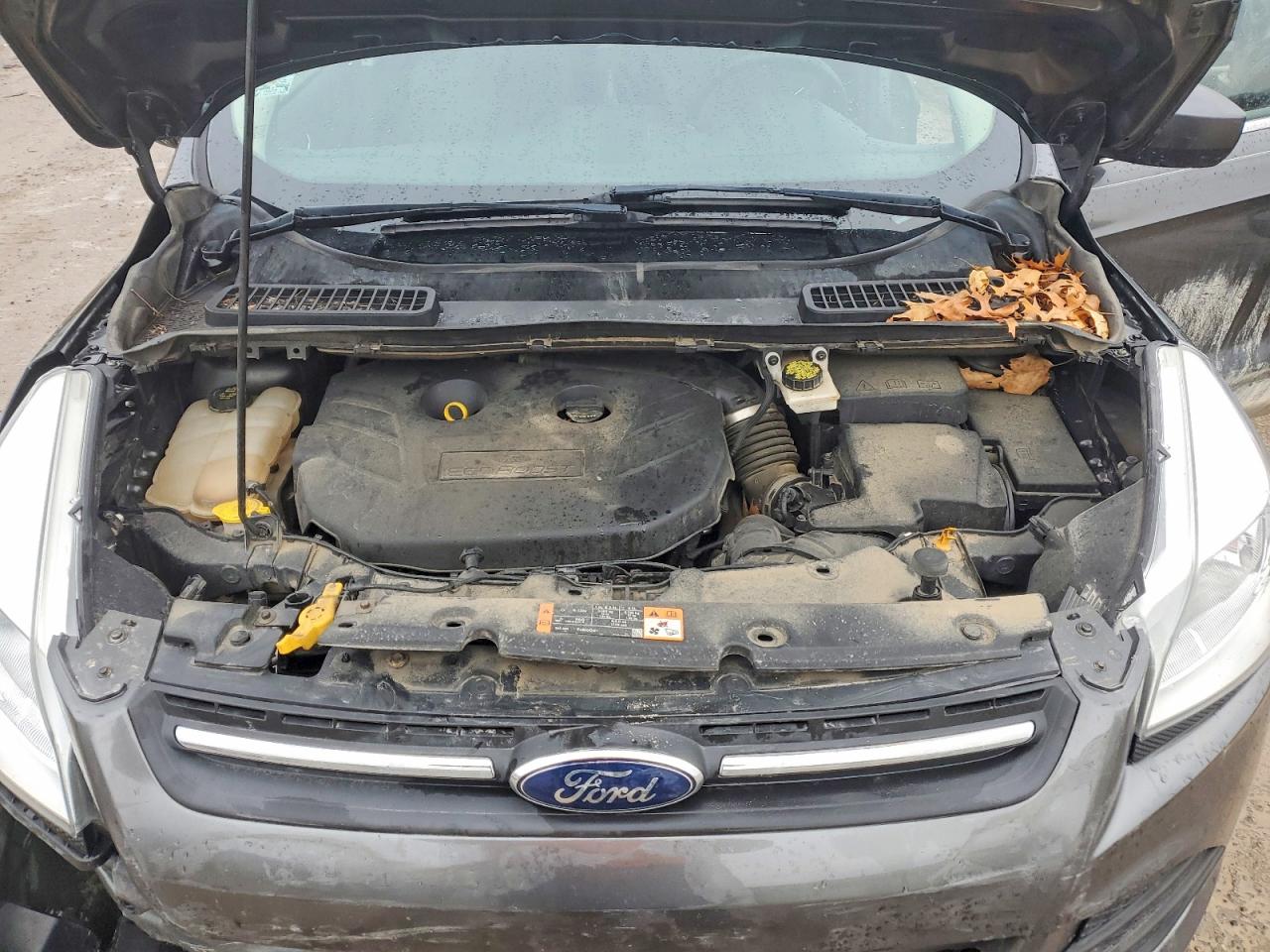 2016 FORD ESCAPE SE photo 23