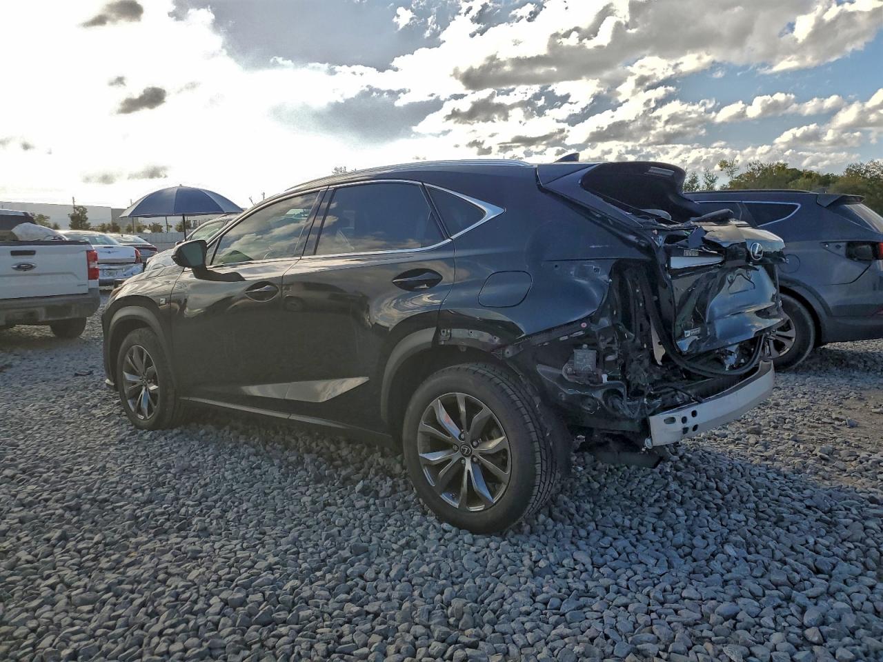 2020 LEXUS NX 300 F SPORT photo 3