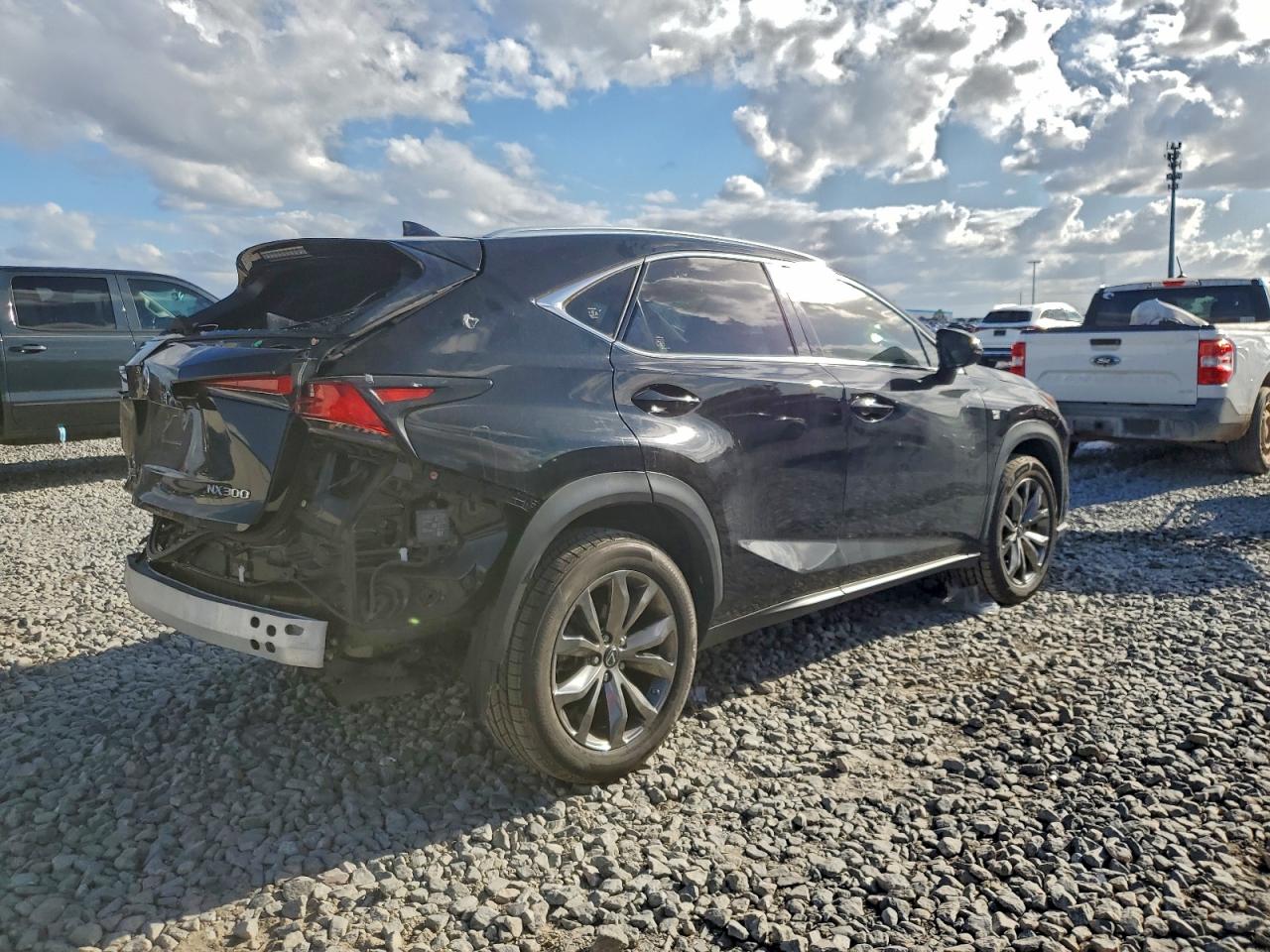 2020 LEXUS NX 300 F SPORT photo 5
